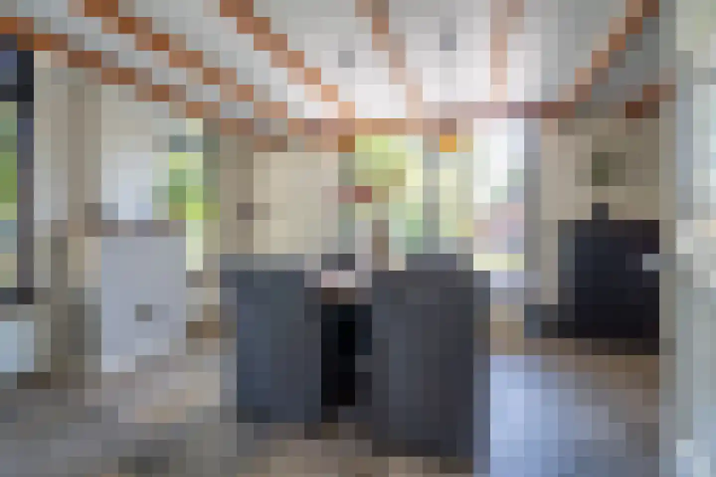 Witterweg 22 Bovensmilde thumbnail 10
