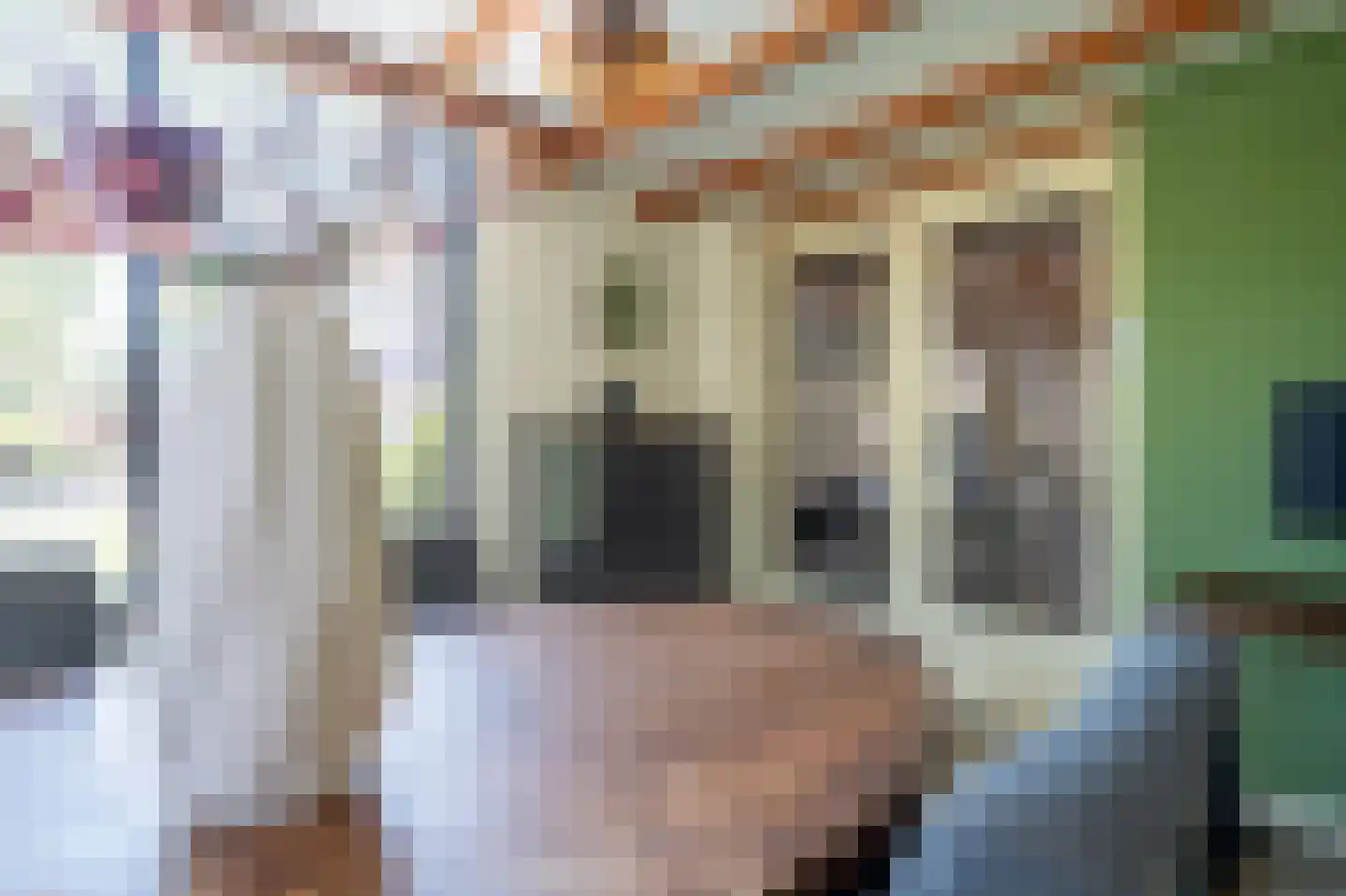 Witterweg 22 Bovensmilde thumbnail 13