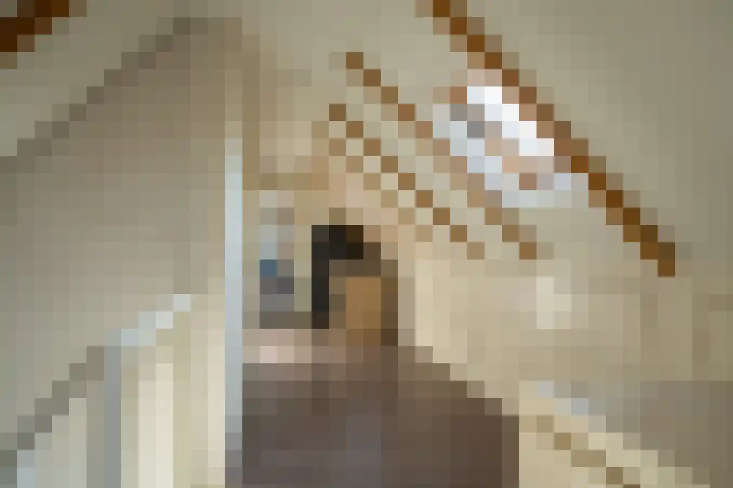 Witterweg 22 Bovensmilde thumbnail 33