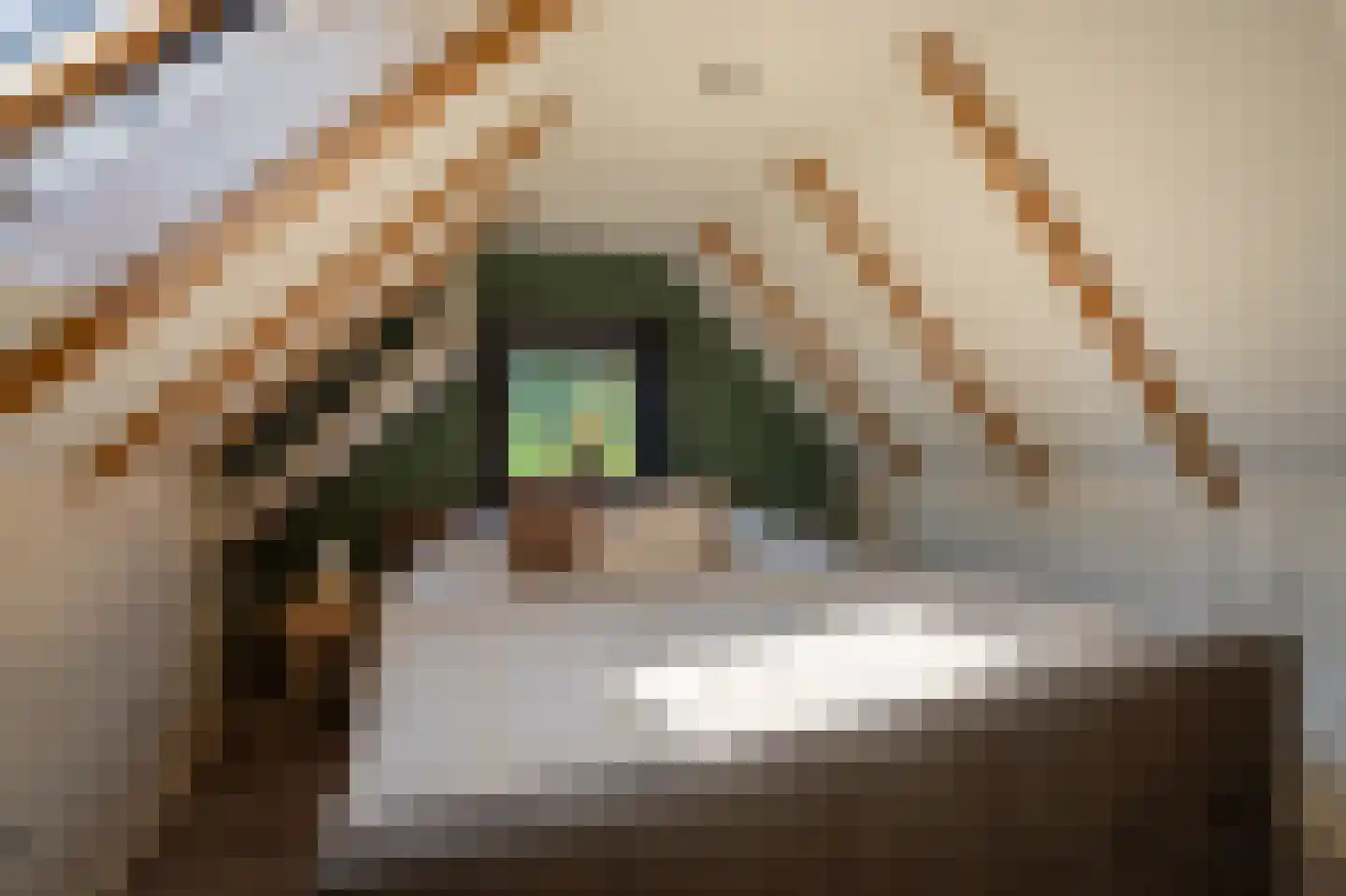 Witterweg 22 Bovensmilde thumbnail 40
