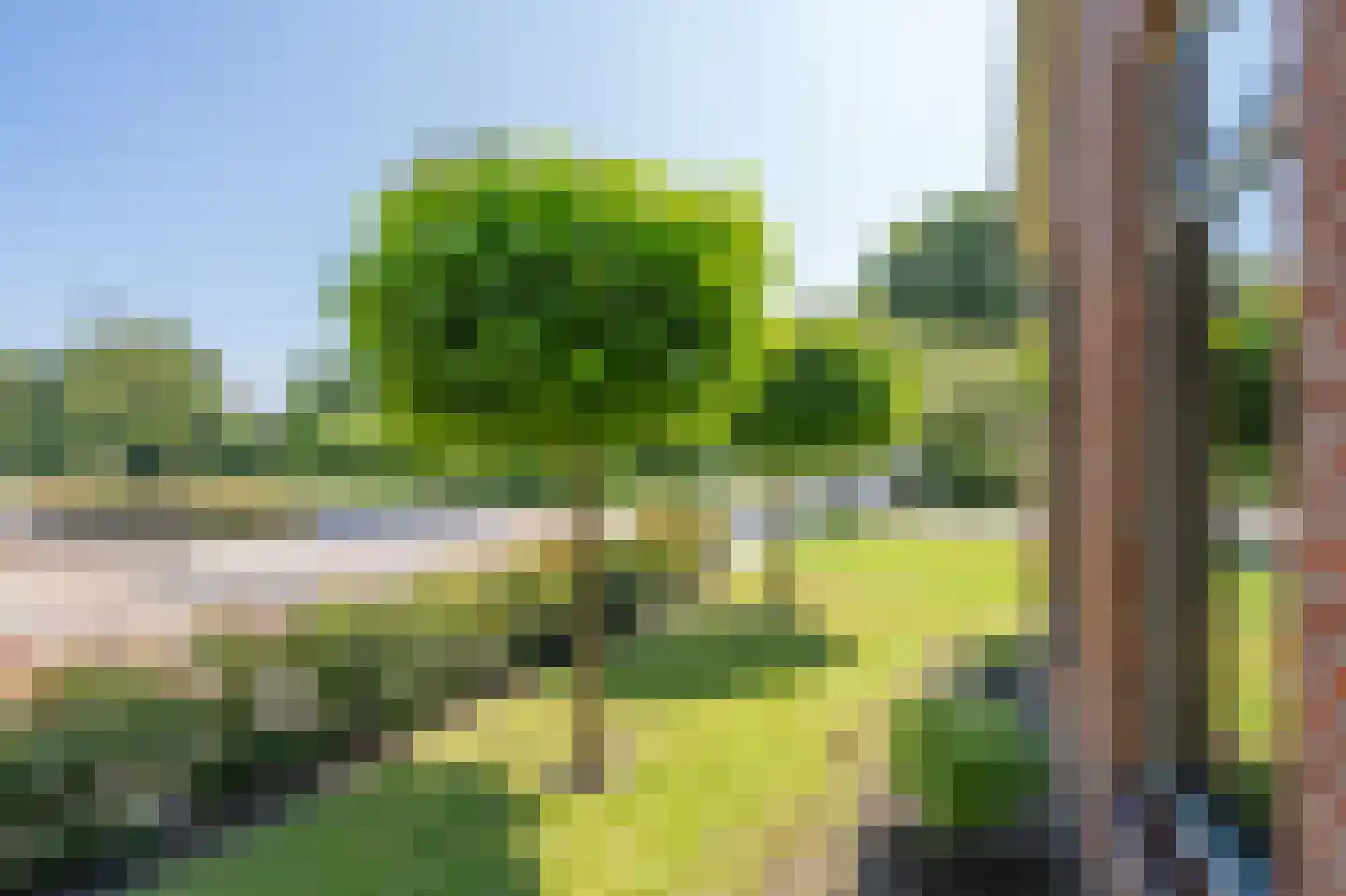 Witterweg 22 Bovensmilde thumbnail 42