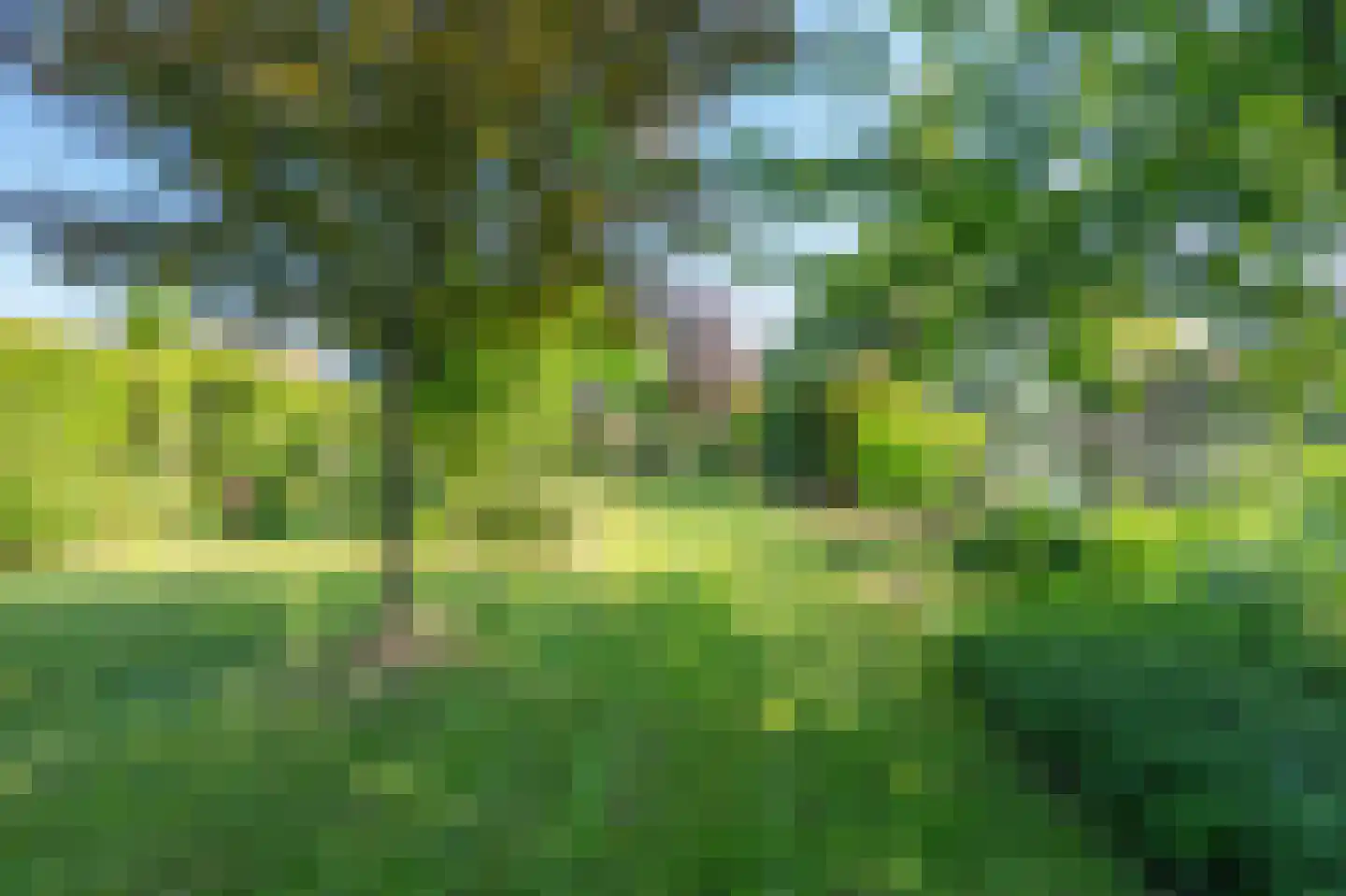 Witterweg 22 Bovensmilde thumbnail 5