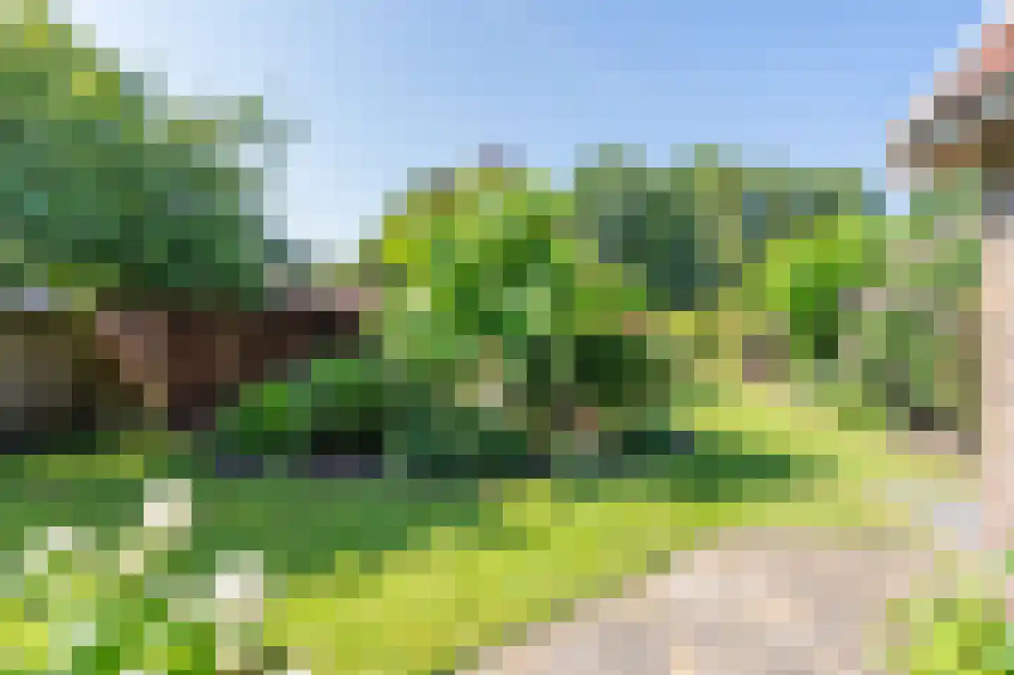 Witterweg 22 Bovensmilde thumbnail 51