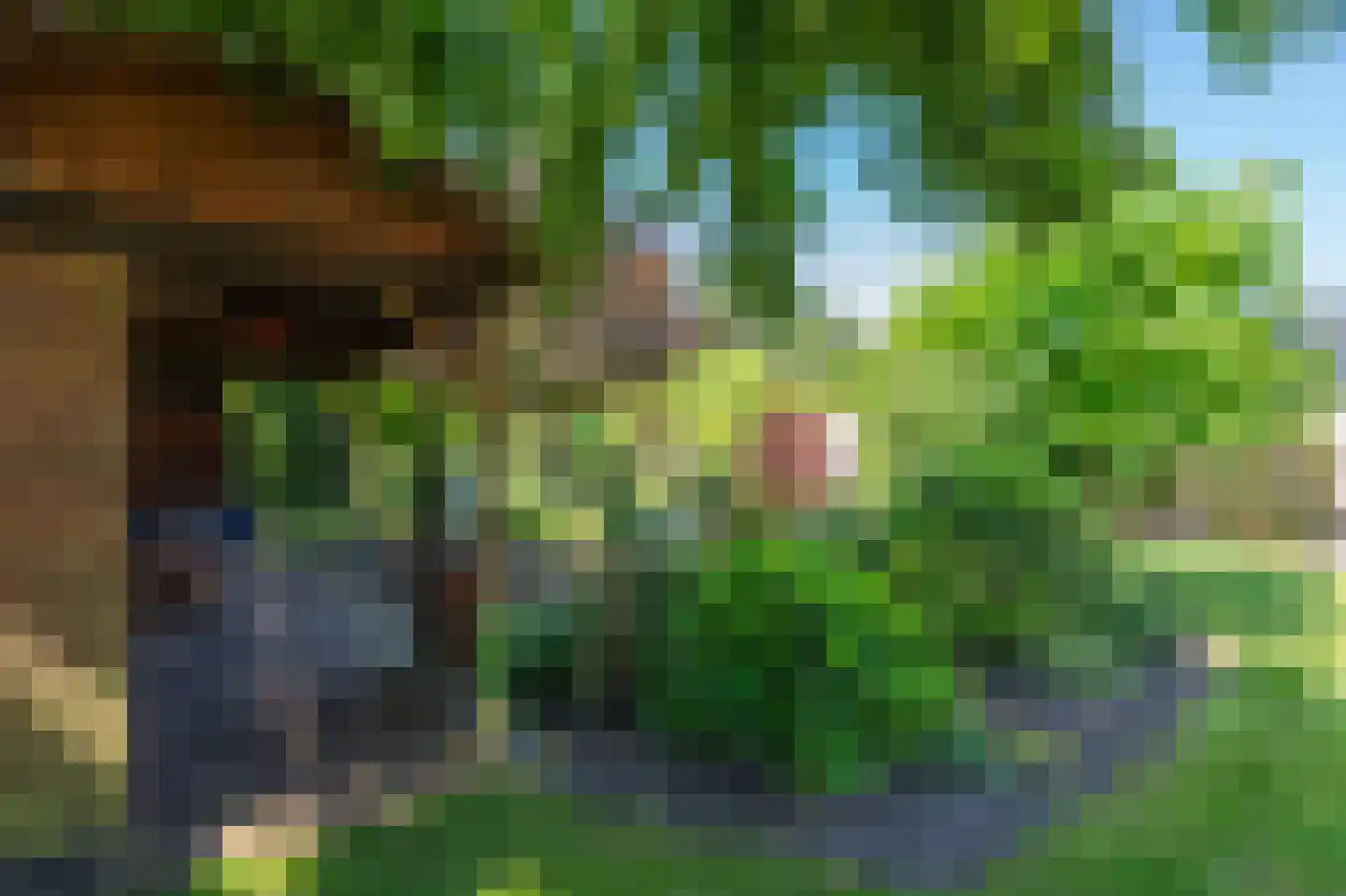 Witterweg 22 Bovensmilde thumbnail 52