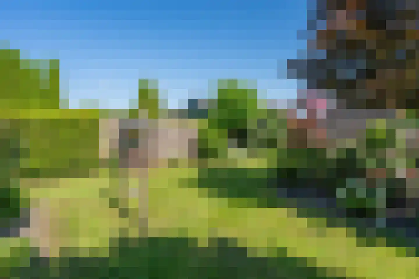 Witterweg 22 Bovensmilde thumbnail 59