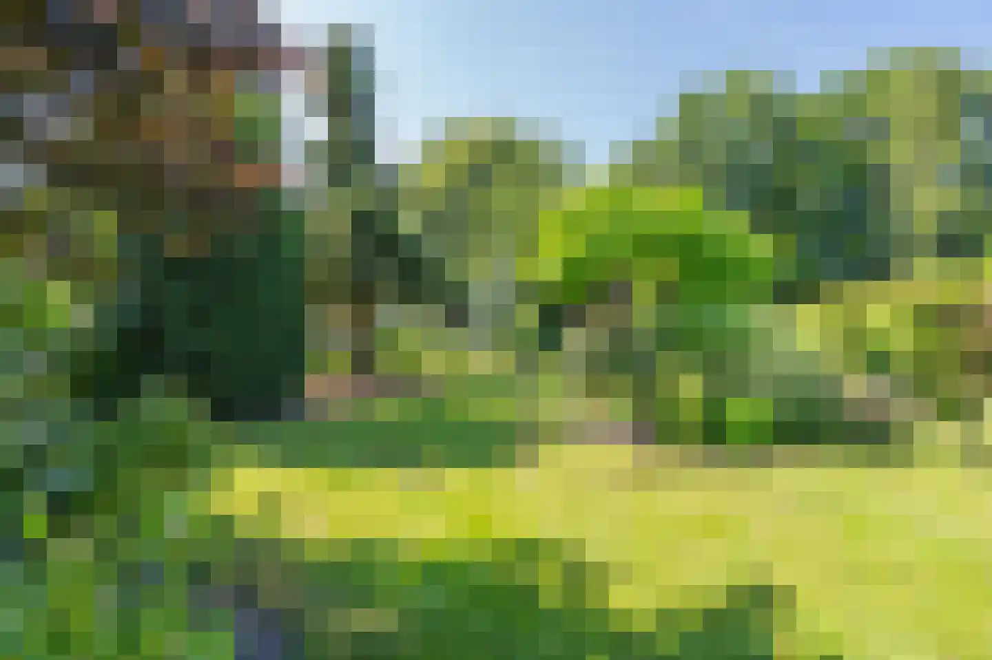 Witterweg 22 Bovensmilde thumbnail 60