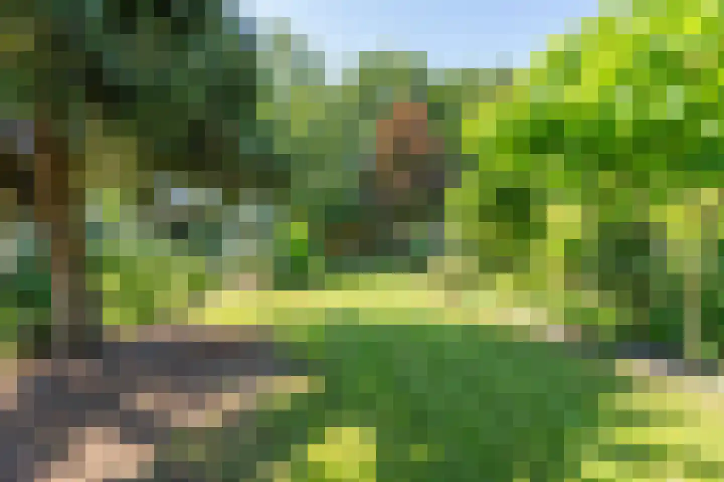 Witterweg 22 Bovensmilde thumbnail 62