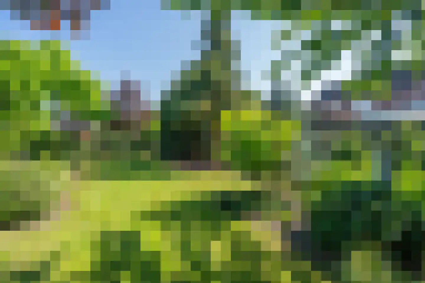 Witterweg 22 Bovensmilde thumbnail 63