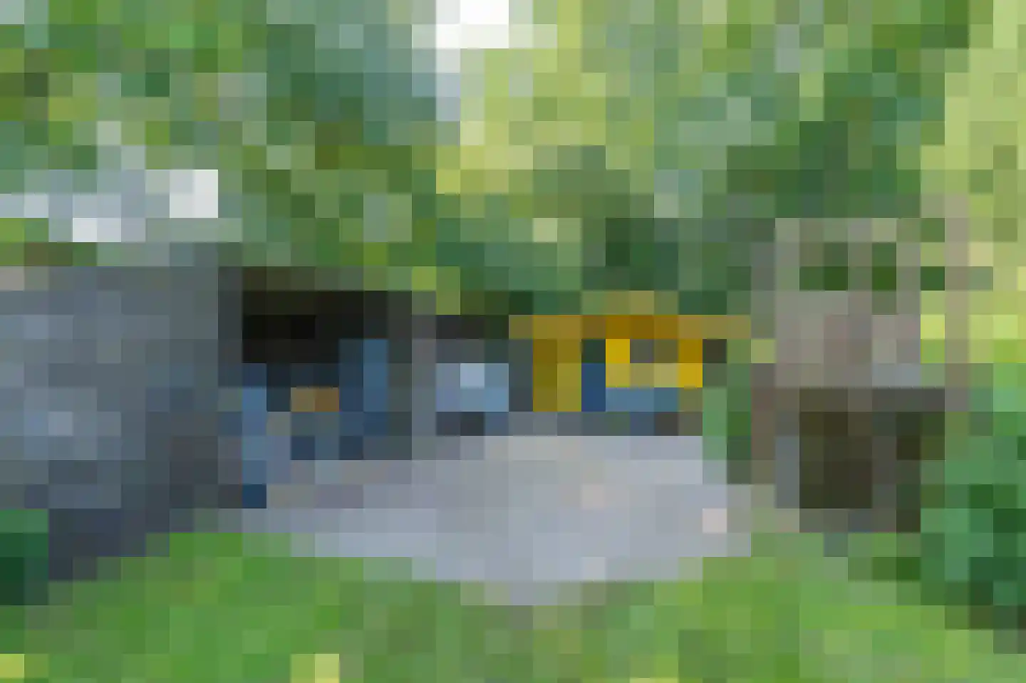 Witterweg 22 Bovensmilde thumbnail 66
