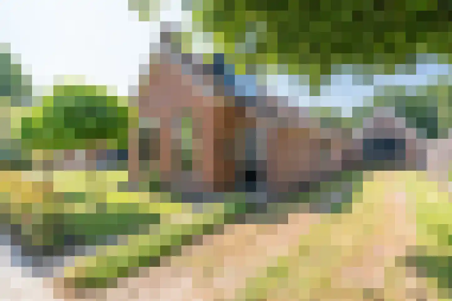 Witterweg 22 Bovensmilde thumbnail 7