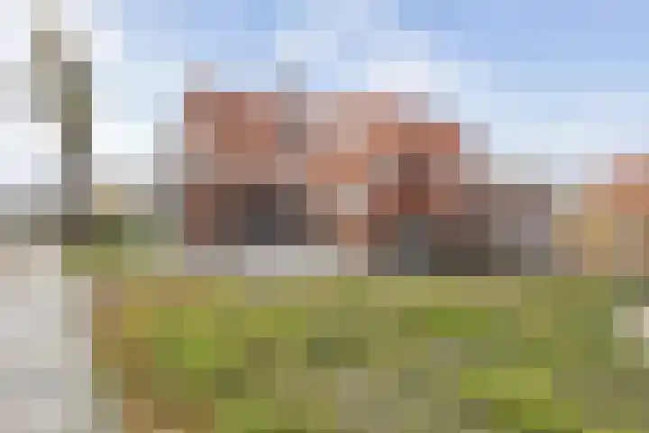 Witterweg 3 Bovensmilde thumbnail 15