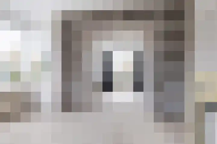 Witterweg 3 Bovensmilde thumbnail 7