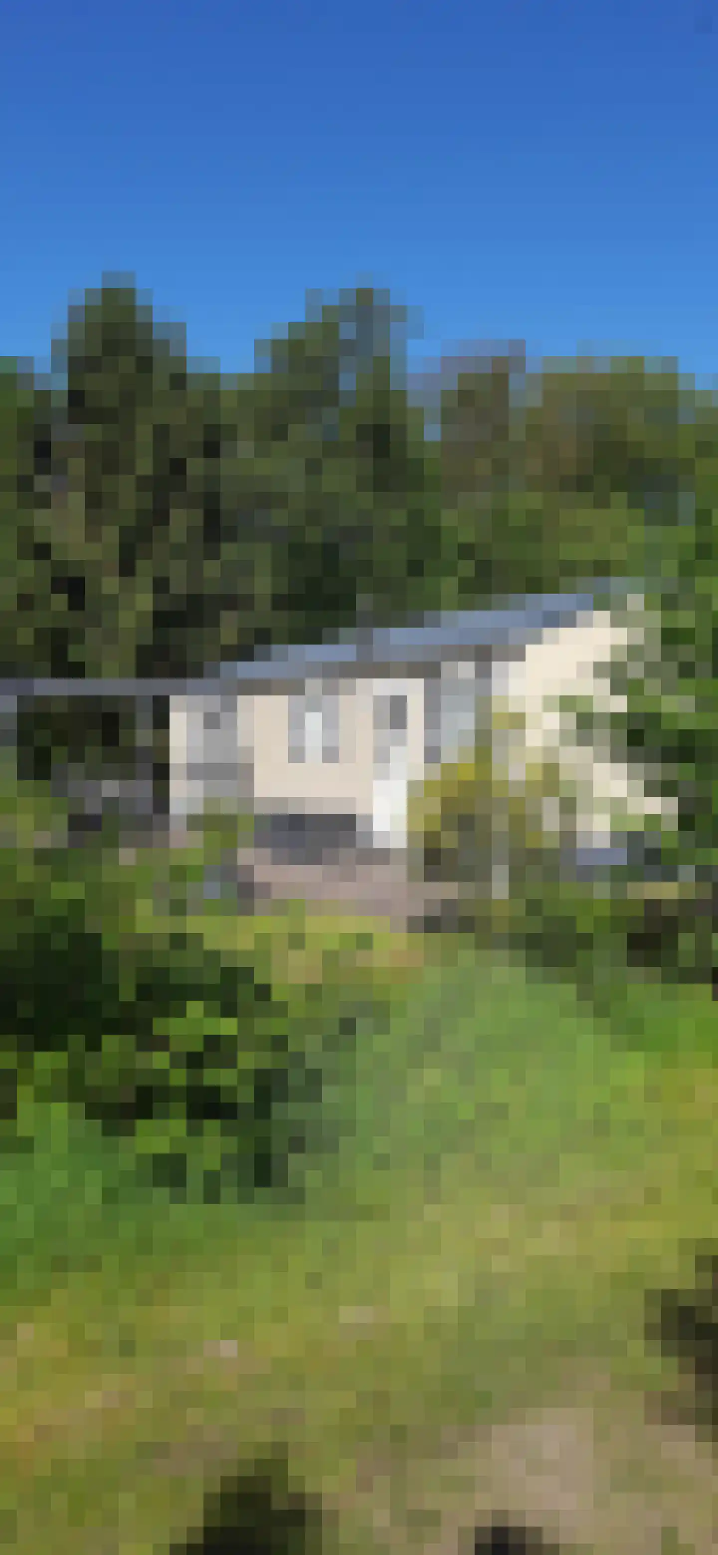 Witterzomer 7 933 Assen thumbnail 12