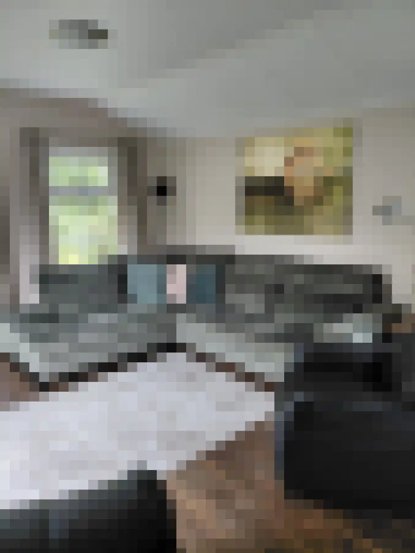 Witterzomer 7 933 Assen thumbnail 4
