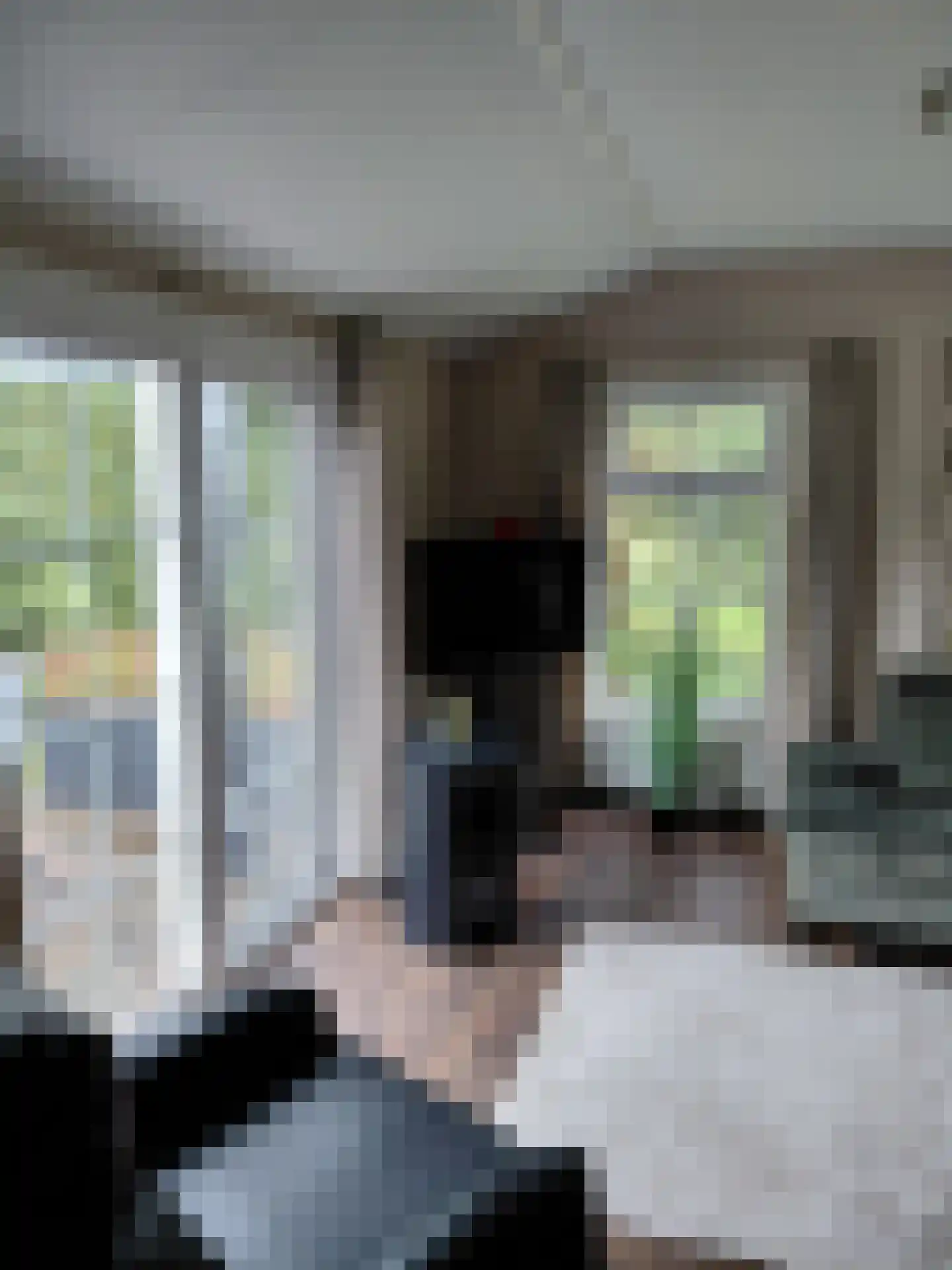 Witterzomer 7 933 Assen thumbnail 6