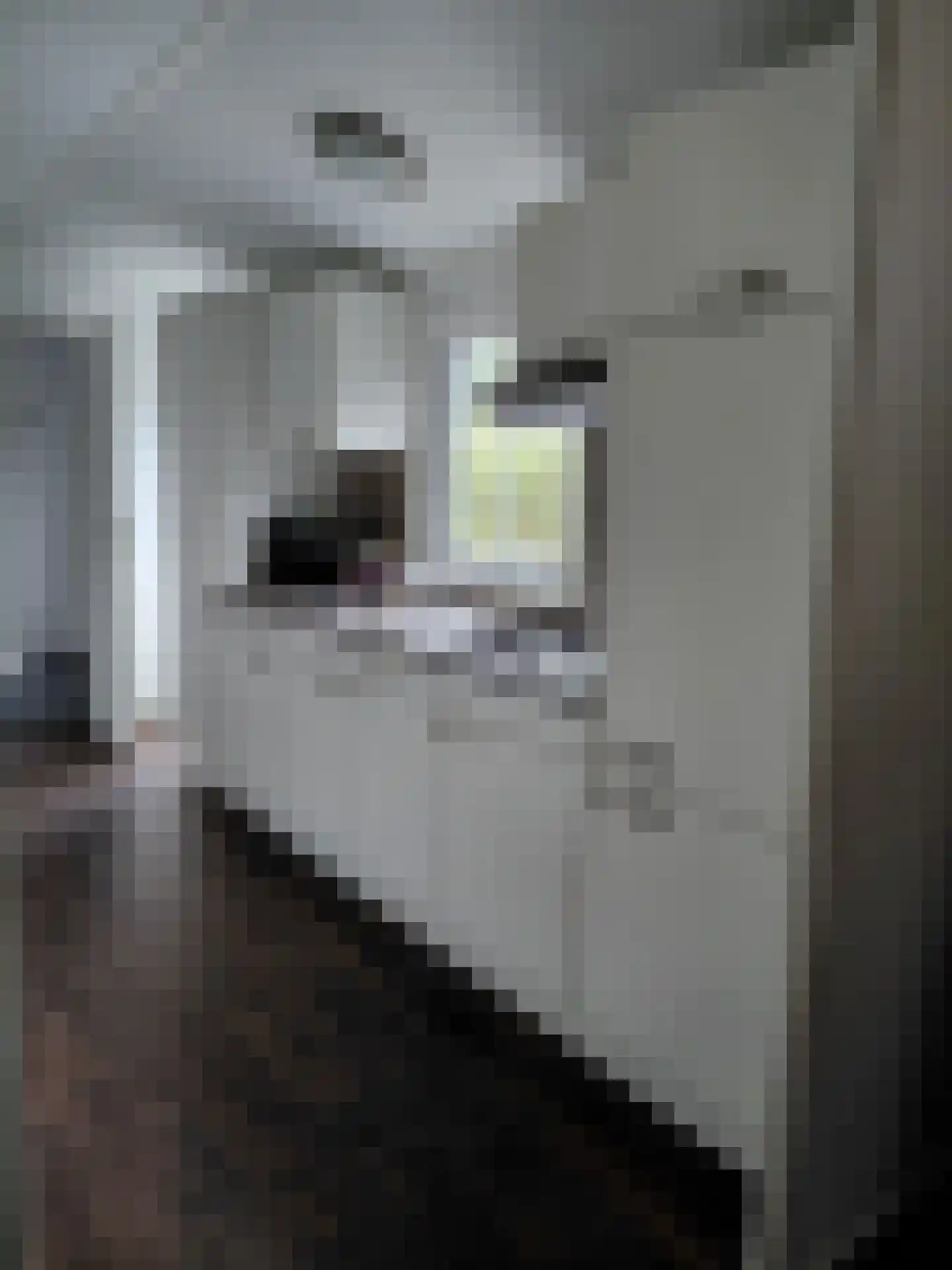 Witterzomer 7 933 Assen thumbnail 7