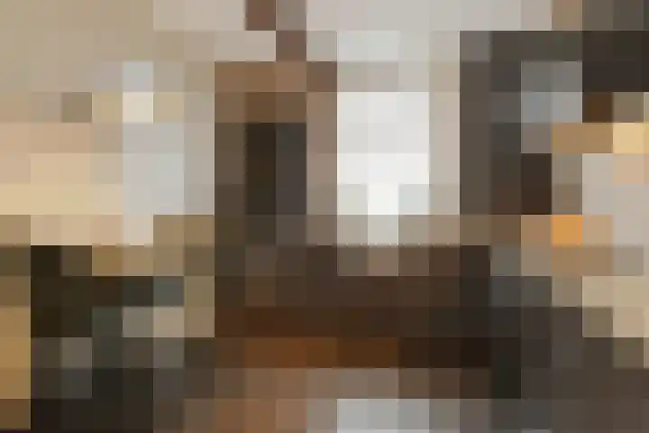 Wittesteegstraat 2 Neeritter thumbnail 15