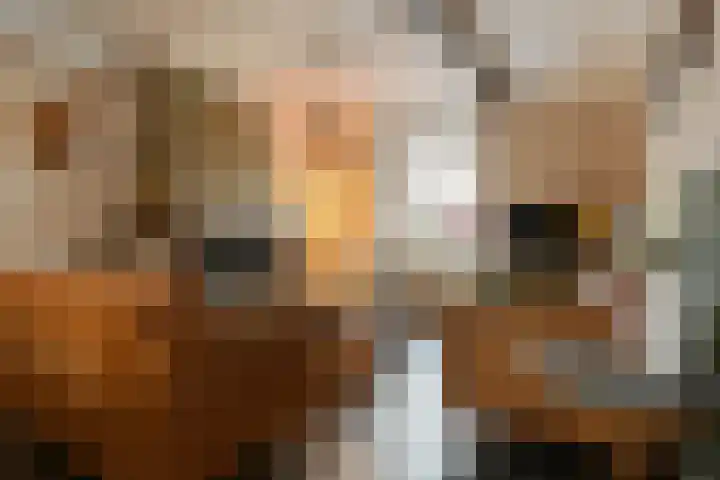 Wittesteegstraat 2 Neeritter thumbnail 7