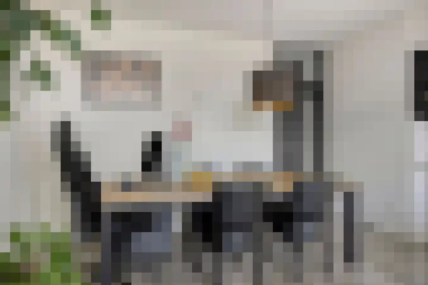 Wittesteijn 22 Emmeloord thumbnail 14