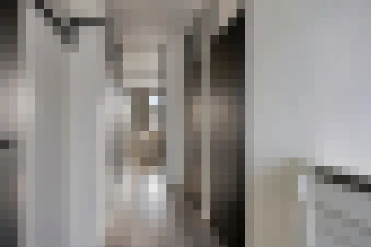 Wittesteijn 22 Emmeloord thumbnail 6