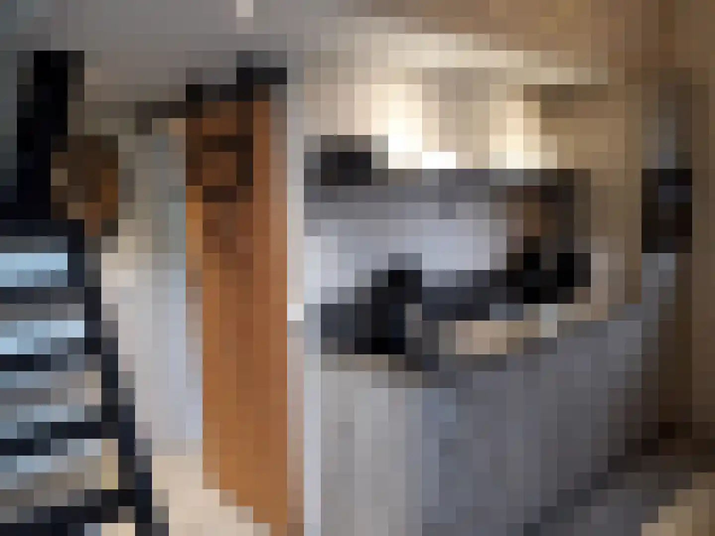 Witteveen 2 500 Ruinen thumbnail 10