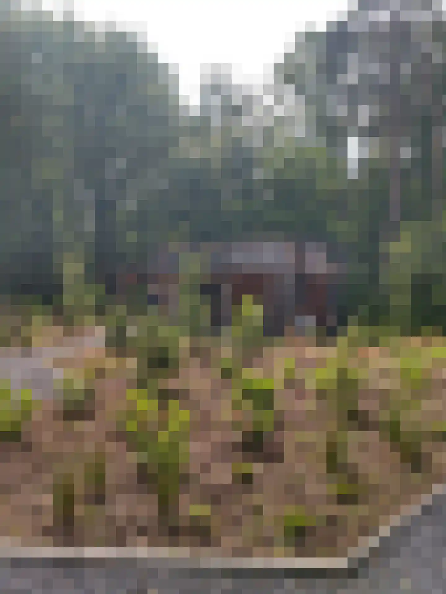Witteveen 2 500 Ruinen thumbnail 20