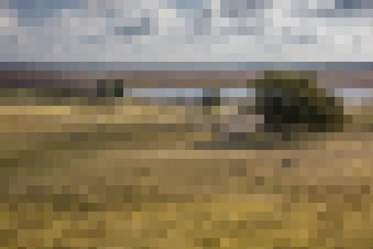 Witteveen 2 500 Ruinen thumbnail 21