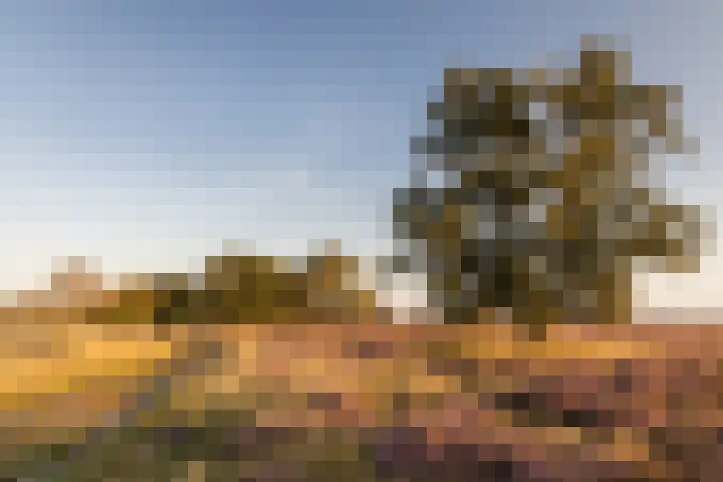 Witteveen 2 500 Ruinen thumbnail 22