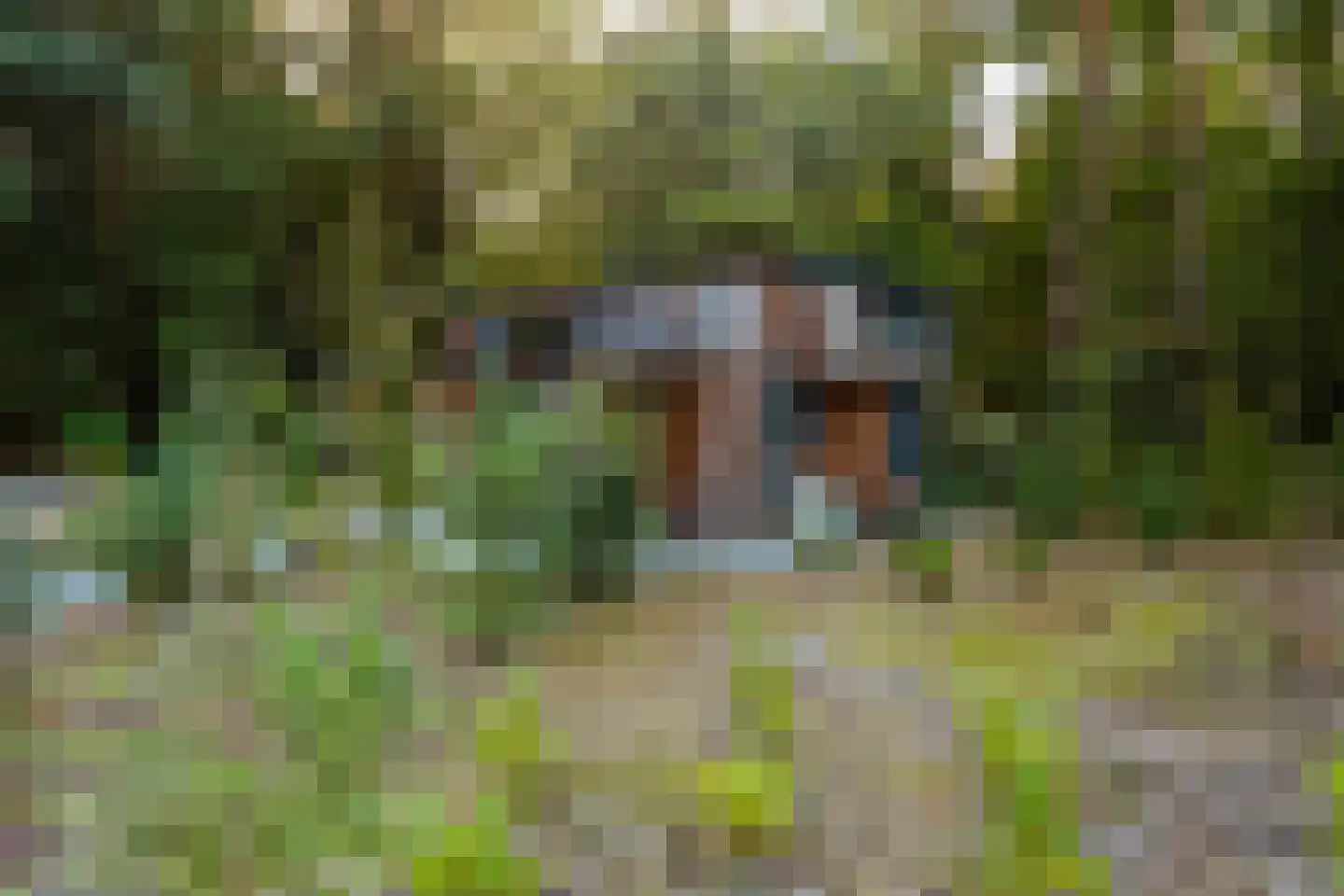 Witteveen 2 500 Ruinen thumbnail 23