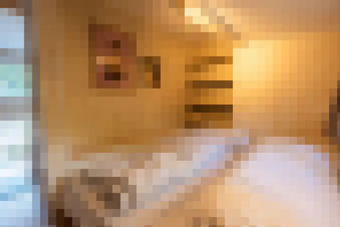Witteveen 2 500 Ruinen thumbnail 6