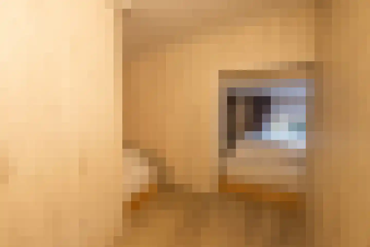 Witteveen 2 500 Ruinen thumbnail 7