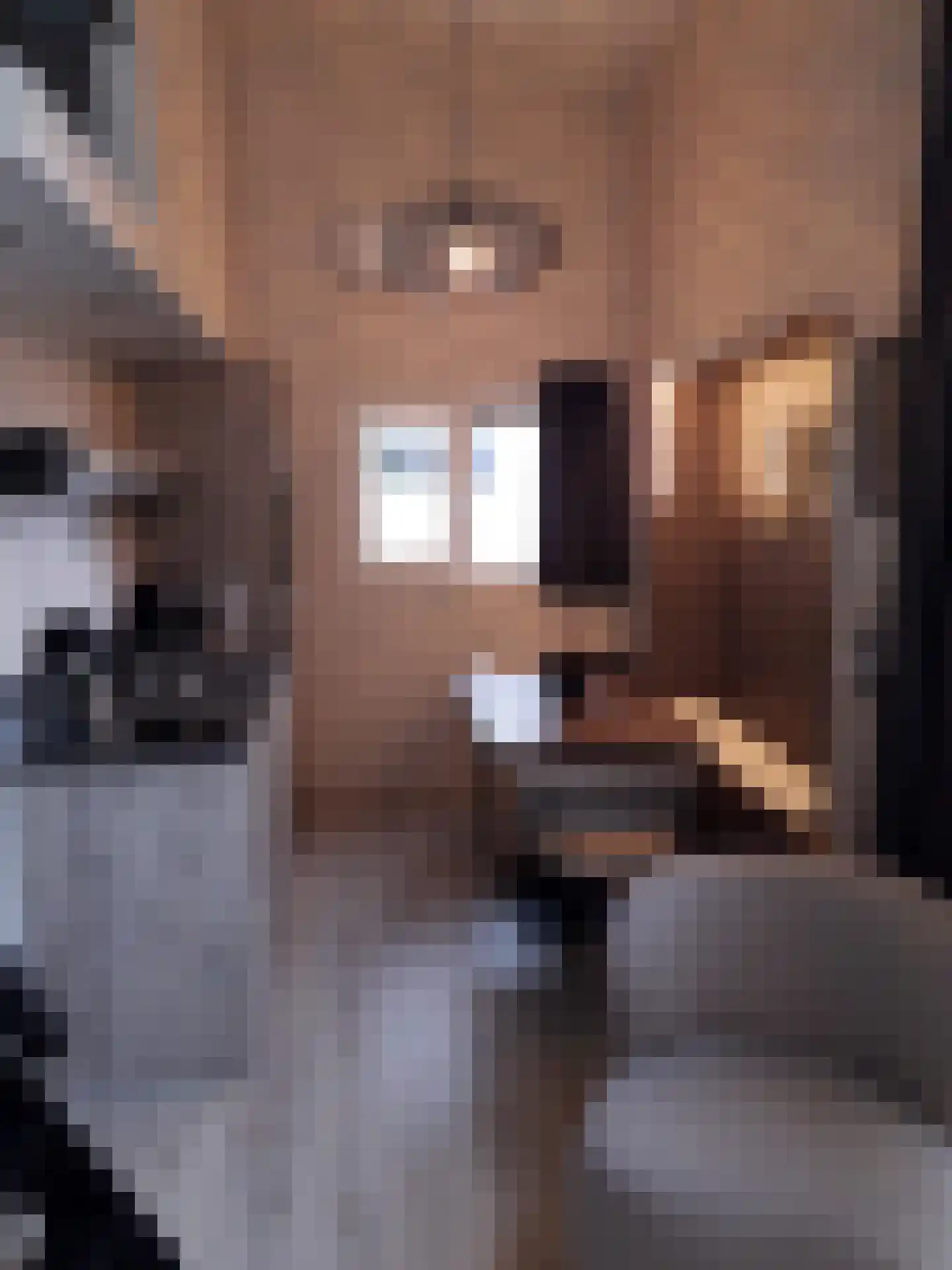 Witteveen 2 500 Ruinen thumbnail 8