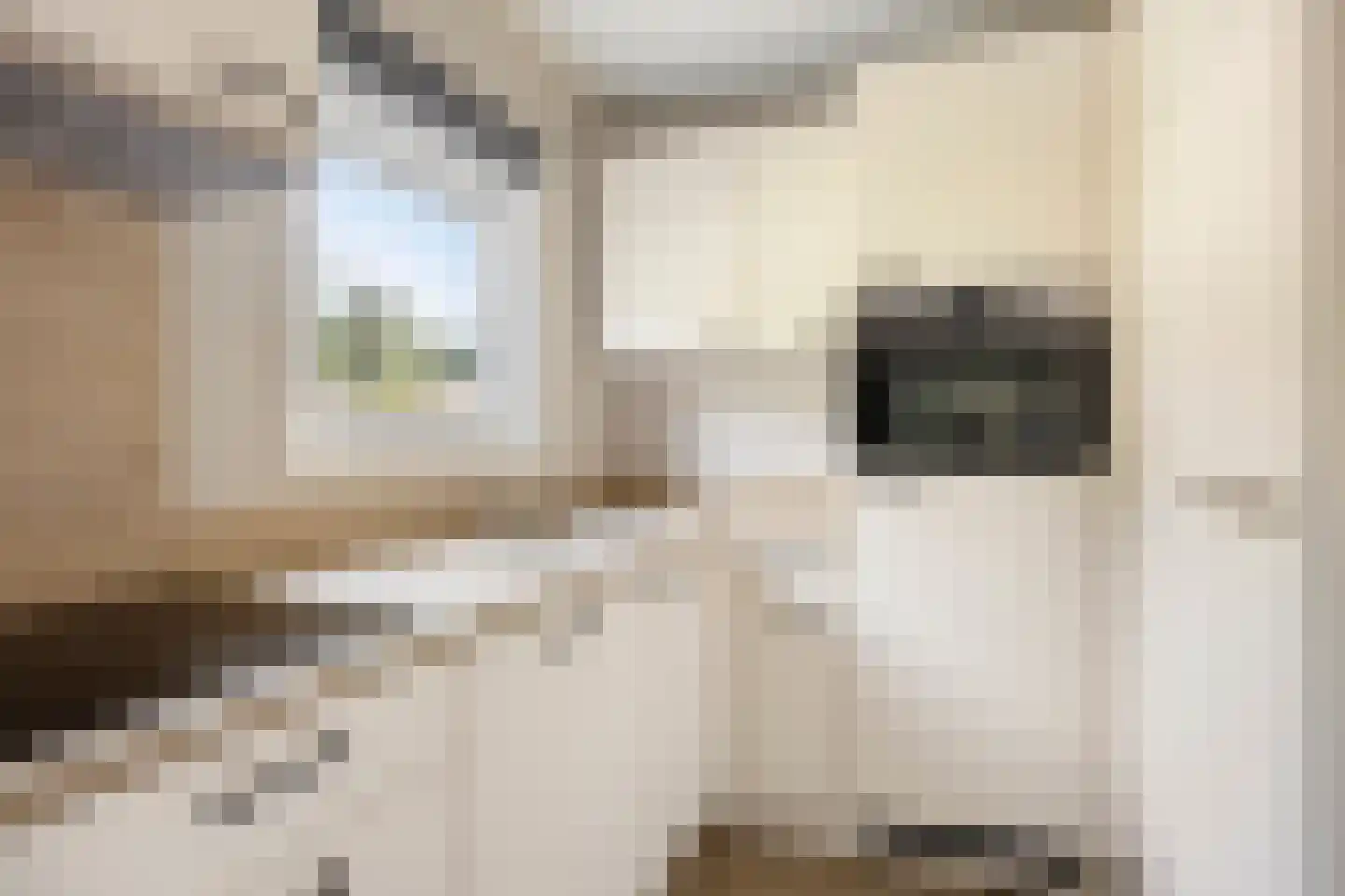 Witteveen 2 564 Ruinen thumbnail 14