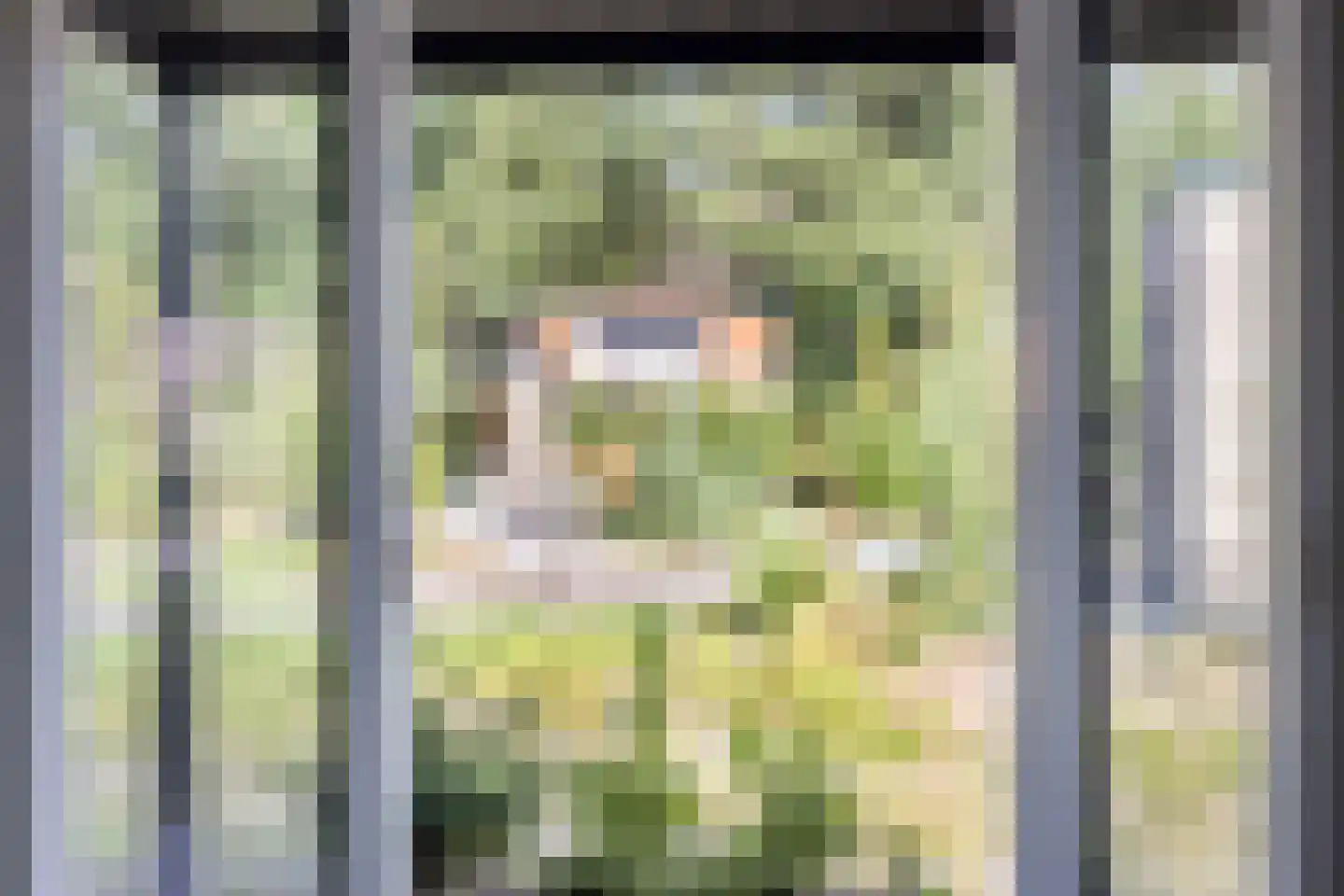 Witteveen 2 564 Ruinen thumbnail 18