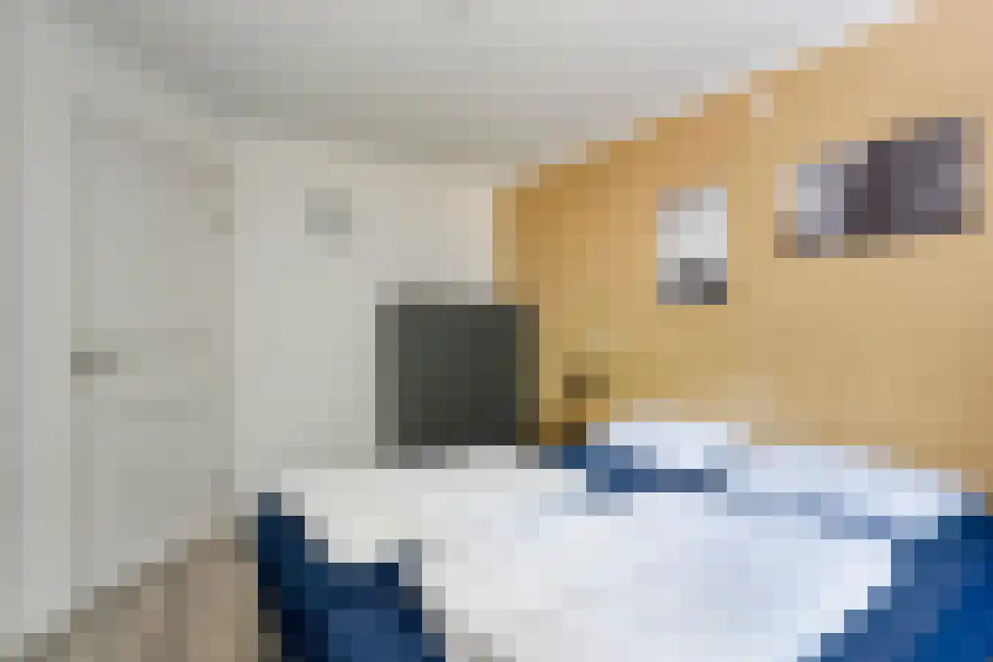 Witteveen 2 n19 Ruinen thumbnail 22