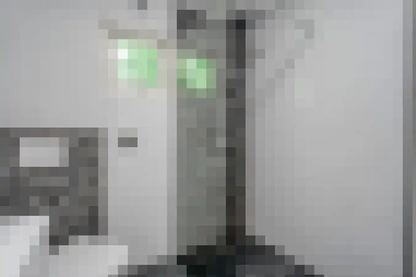 Witteveen 2 n19 Ruinen thumbnail 24