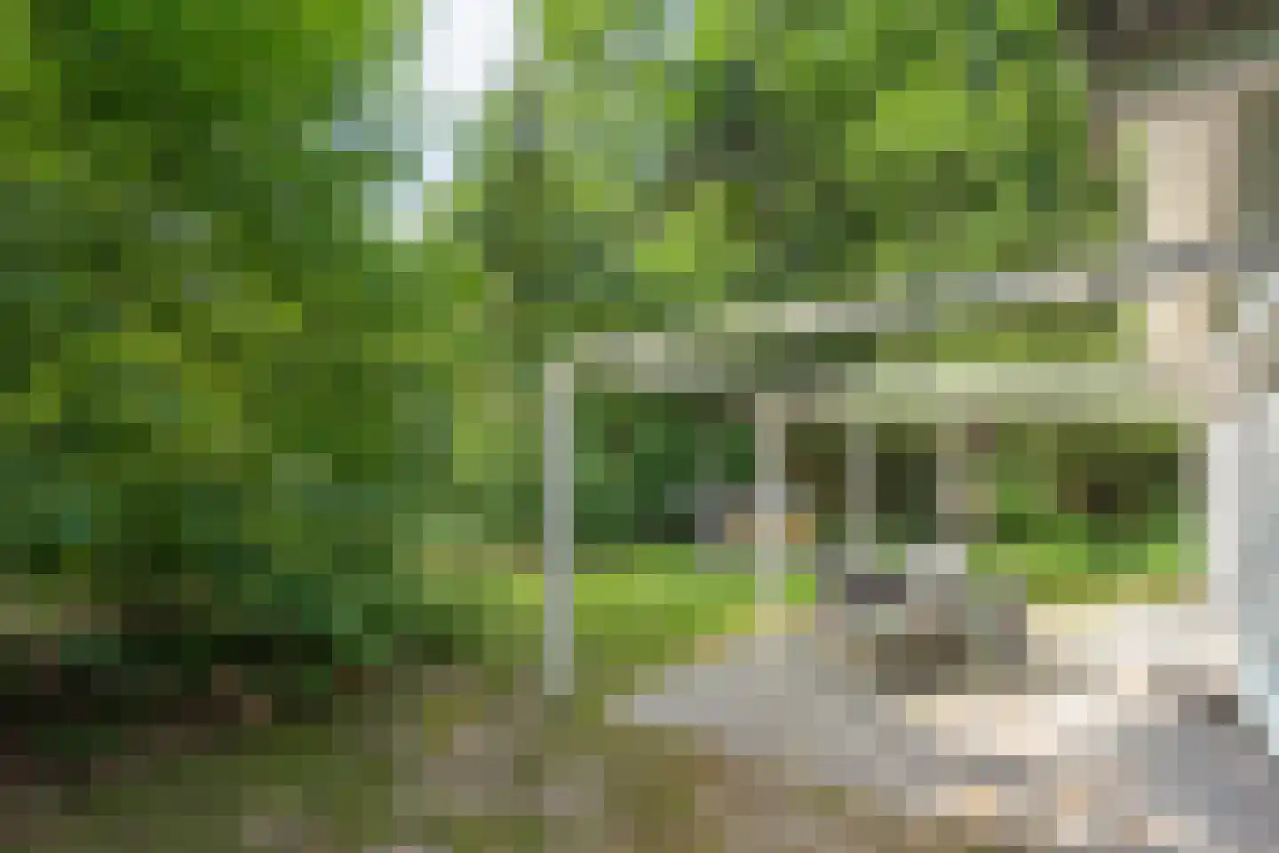 Witteveen 2 n19 Ruinen thumbnail 26