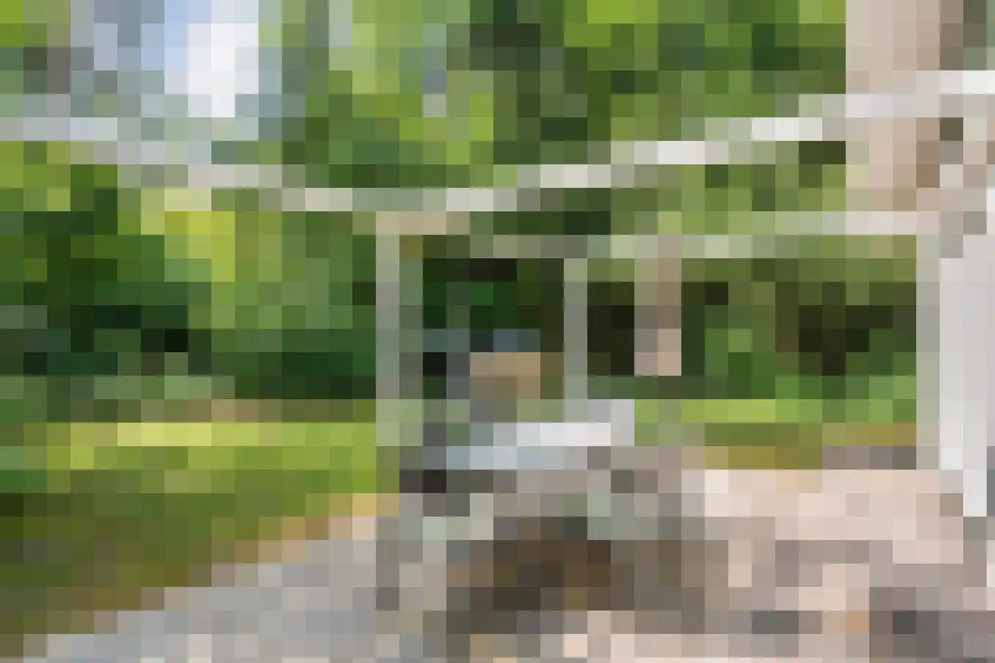 Witteveen 2 n19 Ruinen thumbnail 32