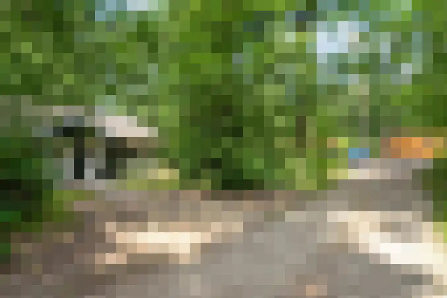 Witteveen 2 n19 Ruinen thumbnail 4