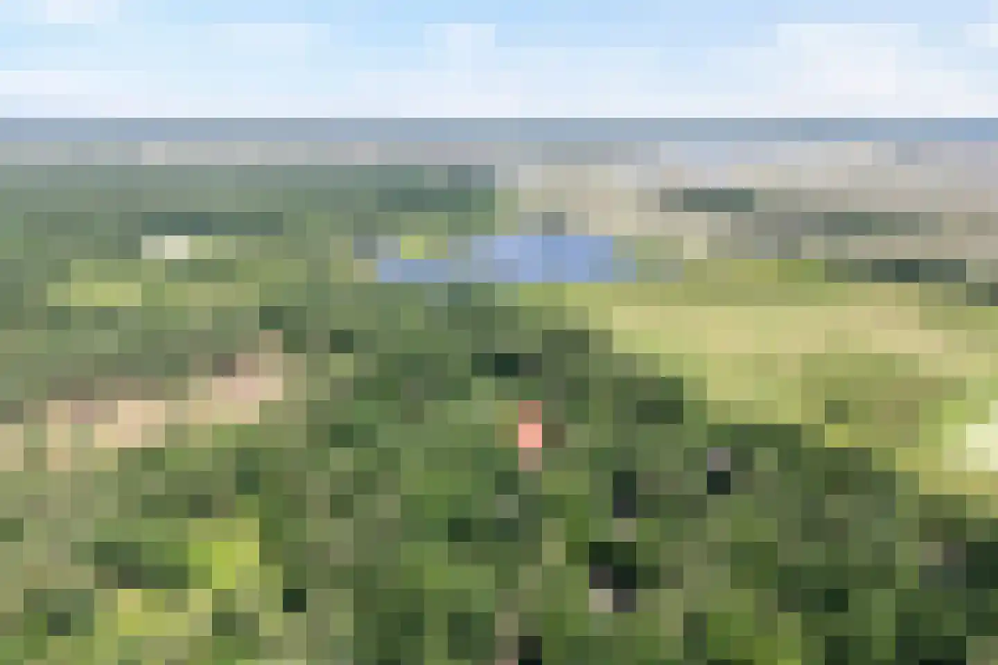 Witteveen 2 n19 Ruinen thumbnail 5