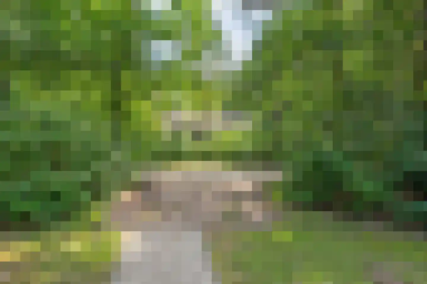 Witteveen 2 n19 Ruinen thumbnail 6