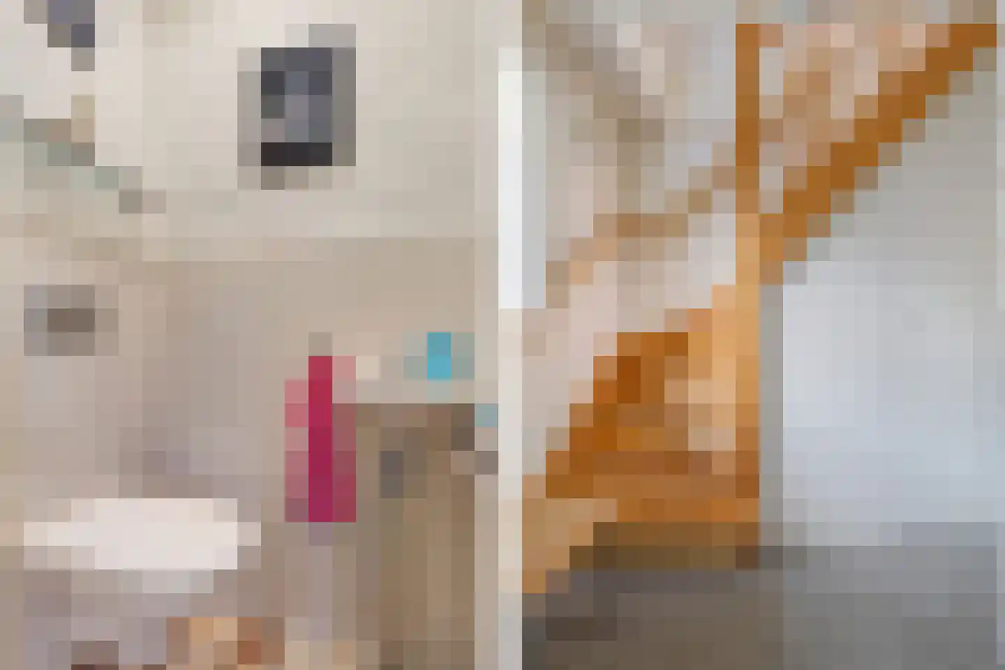 Witteveen 20 y Ruinen thumbnail 10