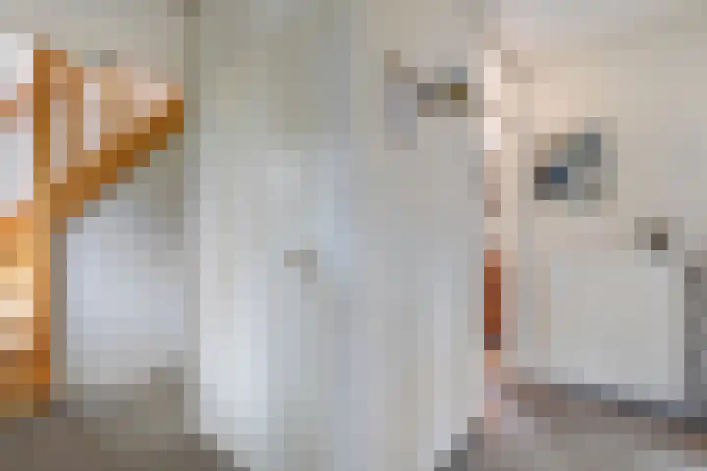 Witteveen 20 y Ruinen thumbnail 12