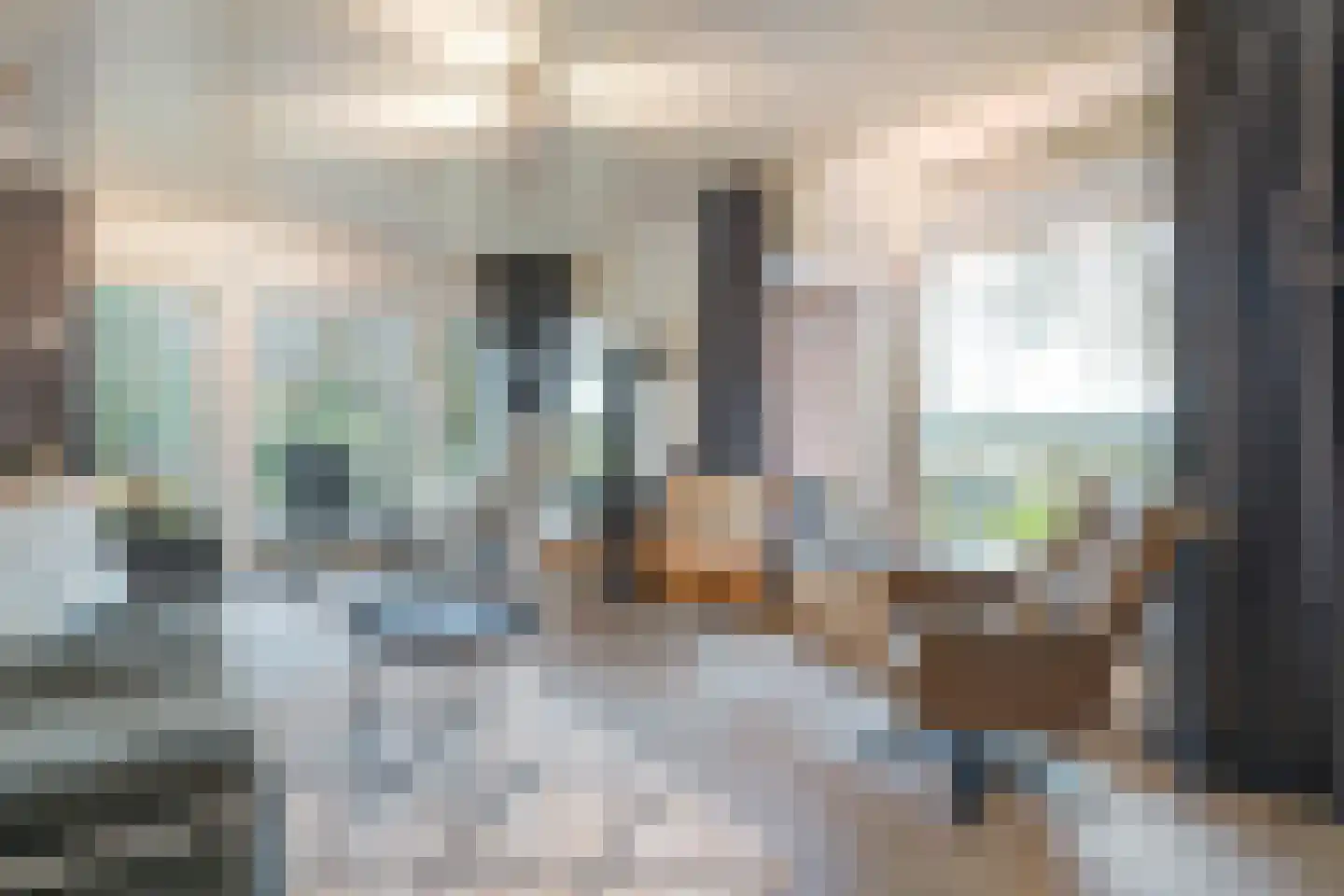 Witteveen 20 y Ruinen thumbnail 13