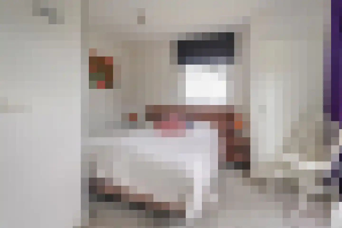 Witteveen 20 y Ruinen thumbnail 21