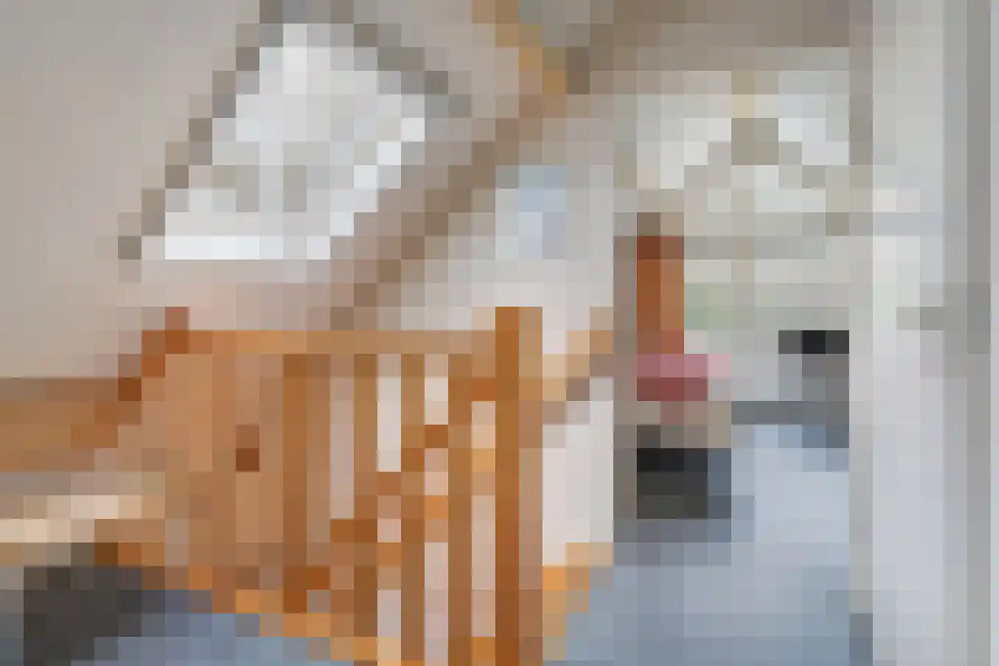 Witteveen 20 y Ruinen thumbnail 24