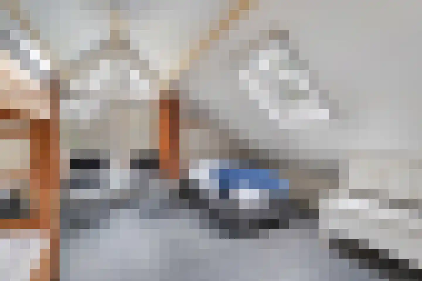 Witteveen 20 y Ruinen thumbnail 26