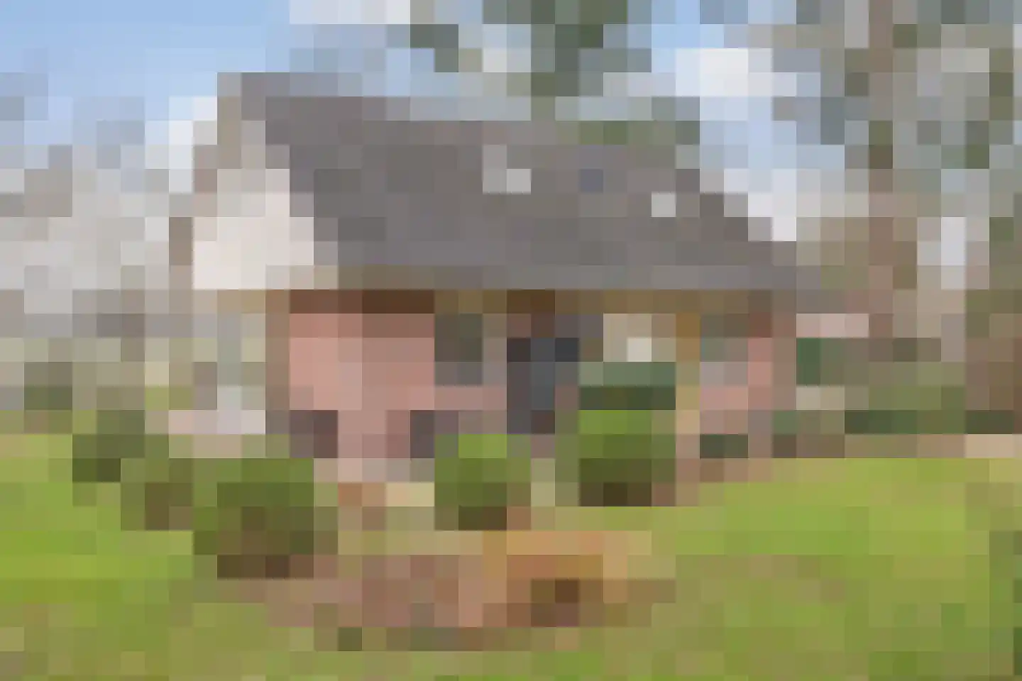 Witteveen 20 y Ruinen thumbnail 33