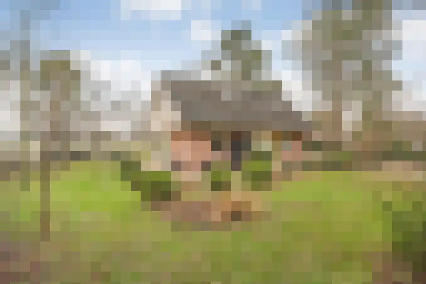 Witteveen 20 y Ruinen thumbnail 34