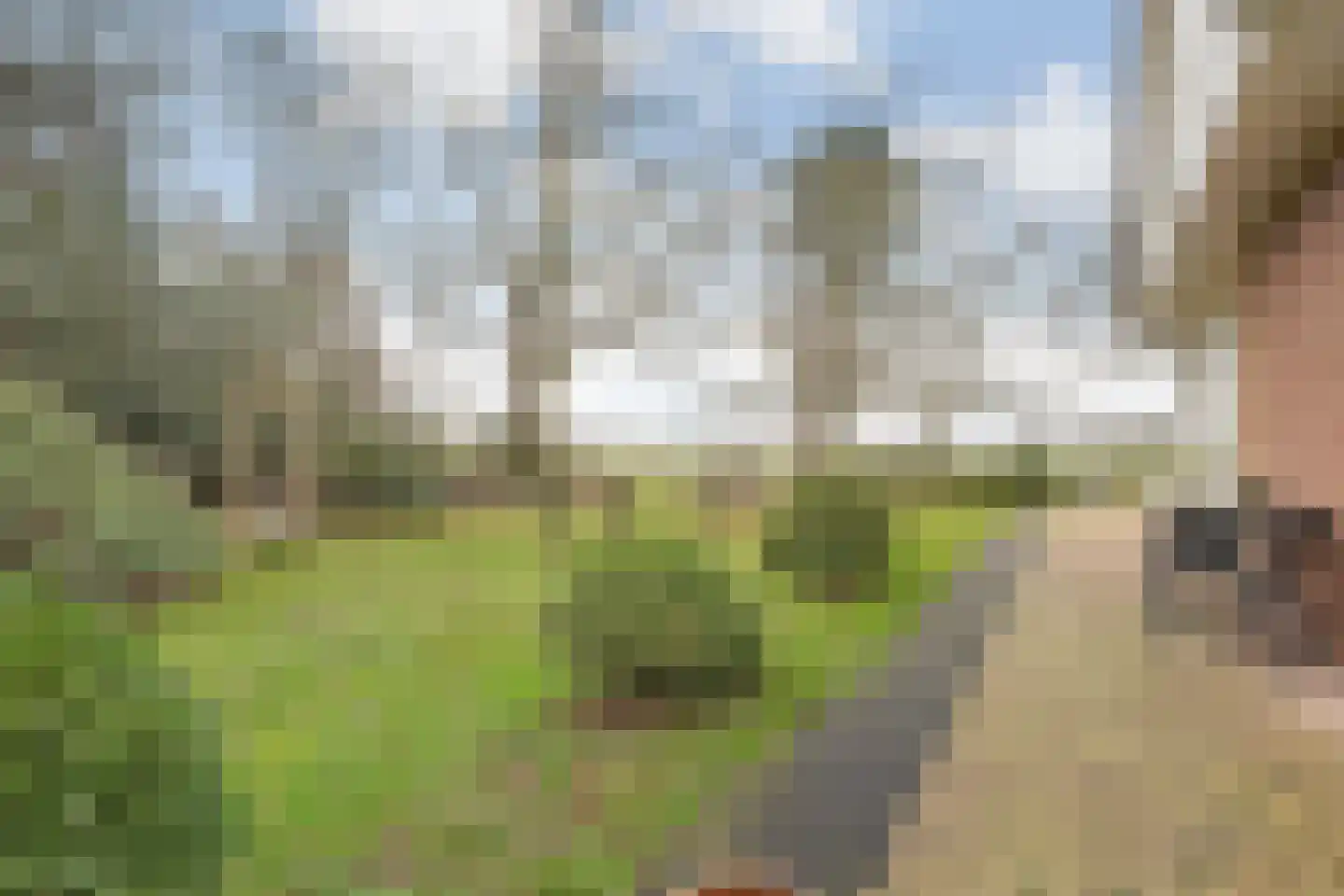 Witteveen 20 y Ruinen thumbnail 36